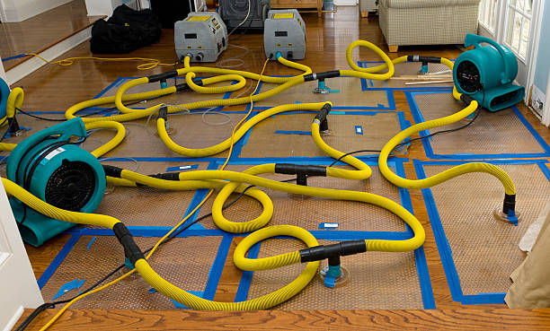 Professional Structural Drying And Dehumidification technician working in Midland, PA
